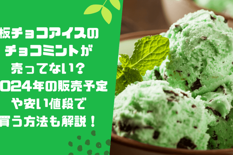 板チョコアイスのチョコミントが売ってない？2024年の販売予定や安い値段で買う方法も解説！