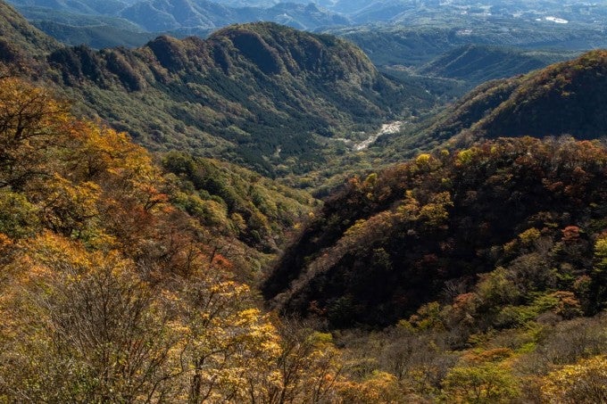 赤城山 鳥居峠 紅葉