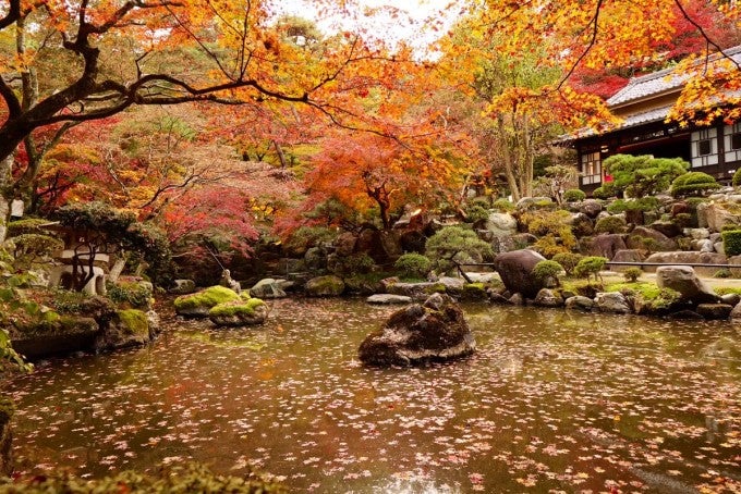 徳明園 紅葉