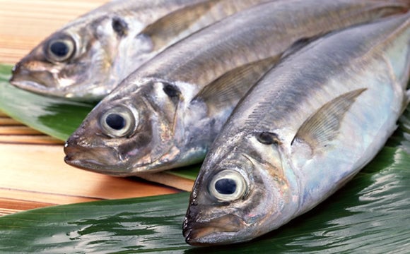 北海道の食材を使った料理 にしん