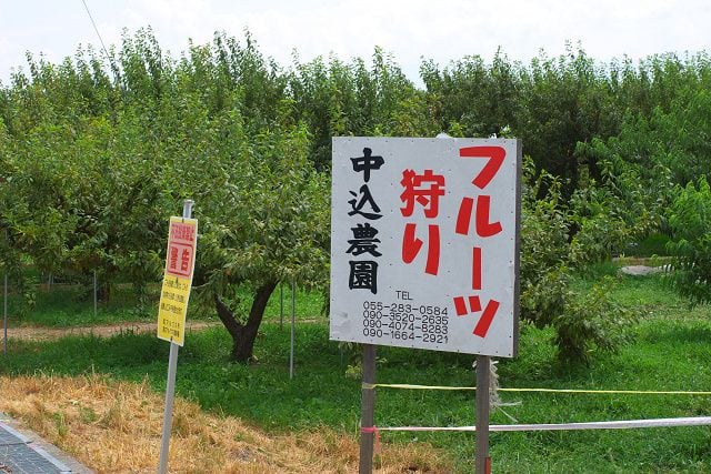 中込農園