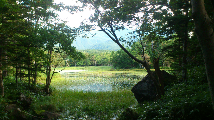 北海道 知床5湖