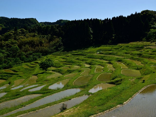 アコンプリ