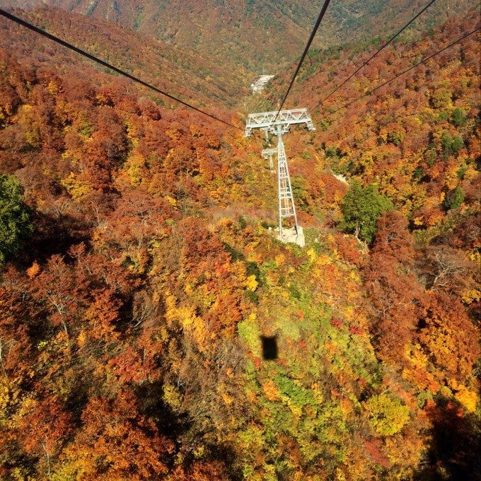 谷川岳 紅葉