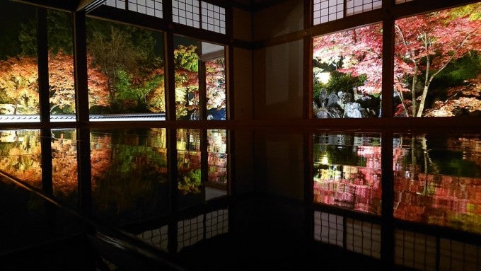 宝徳寺 ライトアップ