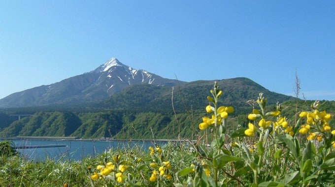 礼文島