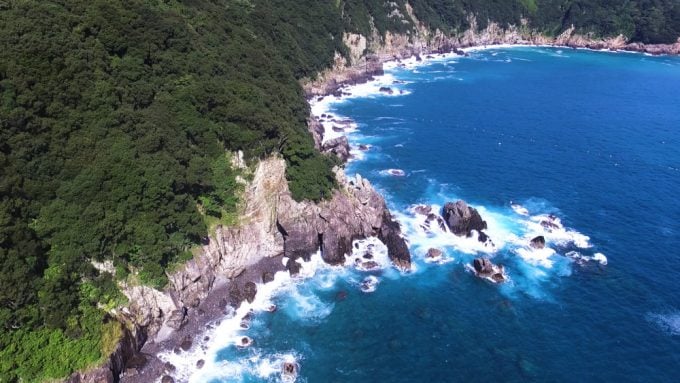 大月町柏島の見どころ!海の生き物とサンゴの楽園