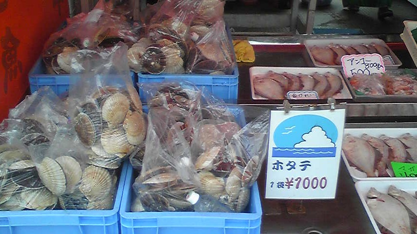 ケンとメリーの木