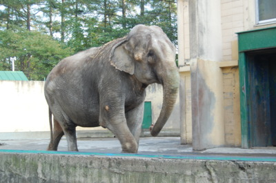 十勝・帯広 観光名所 帯広動物園