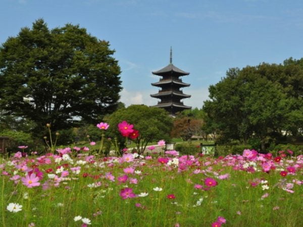 岡山 観光名所 備中国分寺
