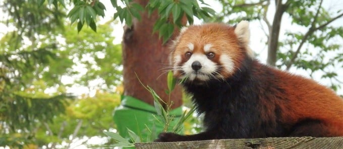 宮城県 デート 八木山動物公園