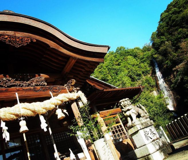 大頭神社 狛犬