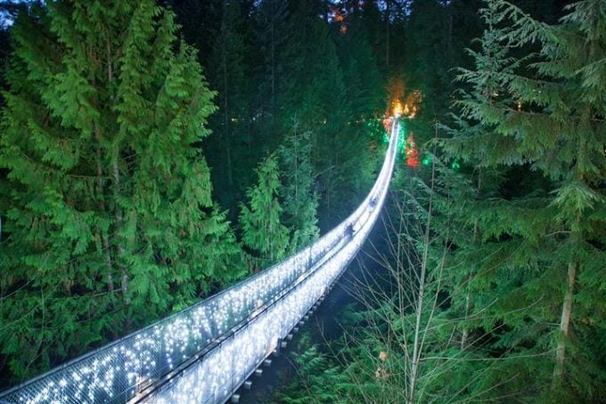 Capilano Suspention Bridge  night