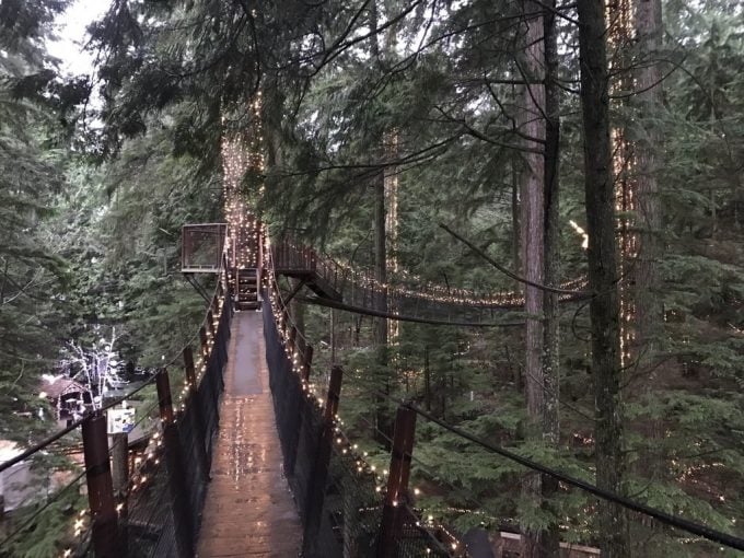 Capilano Suspention Bridge  キャピラノブリッジ2