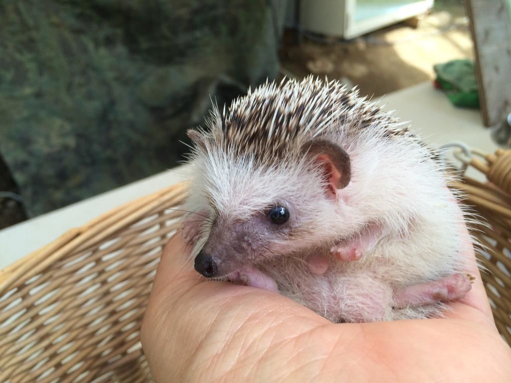 ノースサファリサッポロ
