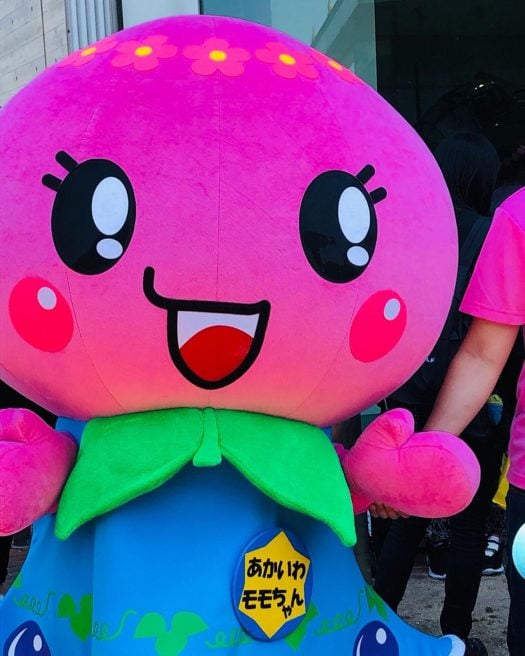岡山県 ゆるキャラ　あかいわモモちゃん