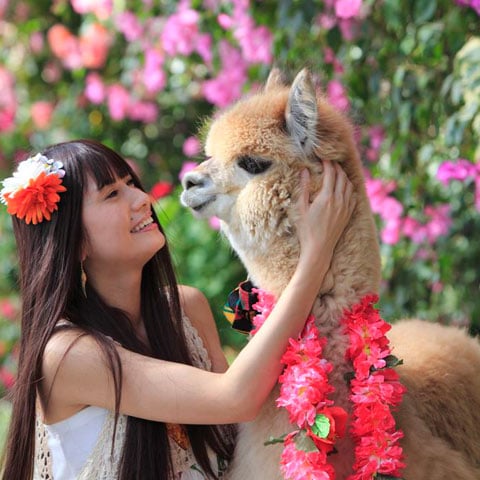 神戸どうぶつ王国 神戸の撮影スポット