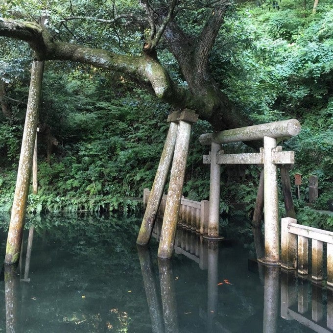 常陸國一之宮 鹿島神宮