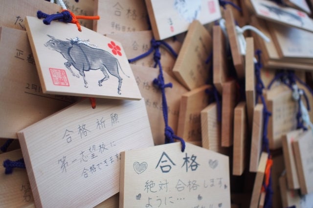亀山神社は学業成就や交通安全のご利益