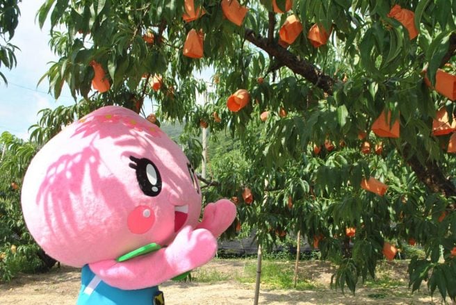岡山県 ゆるキャラ　あかいわももちゃん