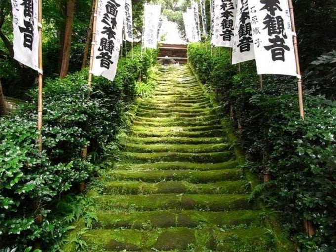 杉本寺