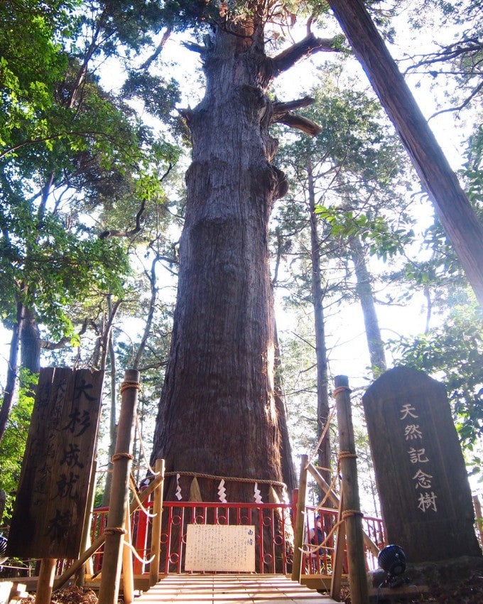 麻賀多神社