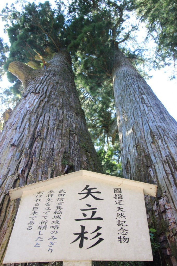 矢立杉 榛名神社