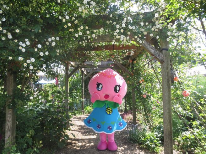 岡山県 ゆるキャラ　あかいわモモちゃん