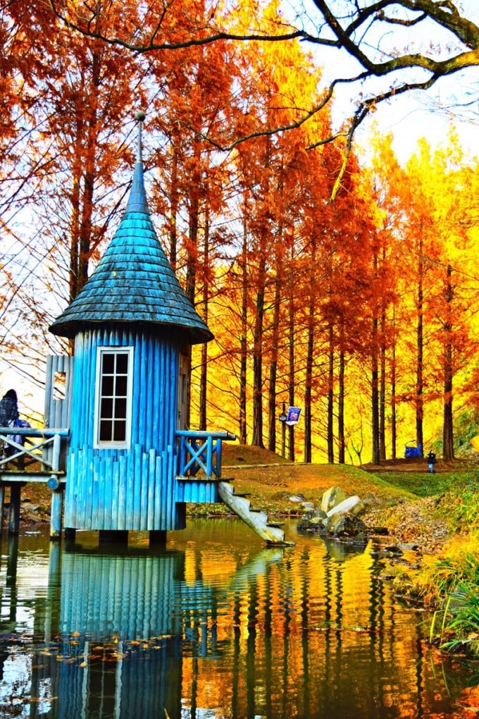 ムーミン谷 紅葉
