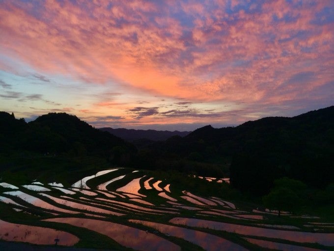 大山千枚田