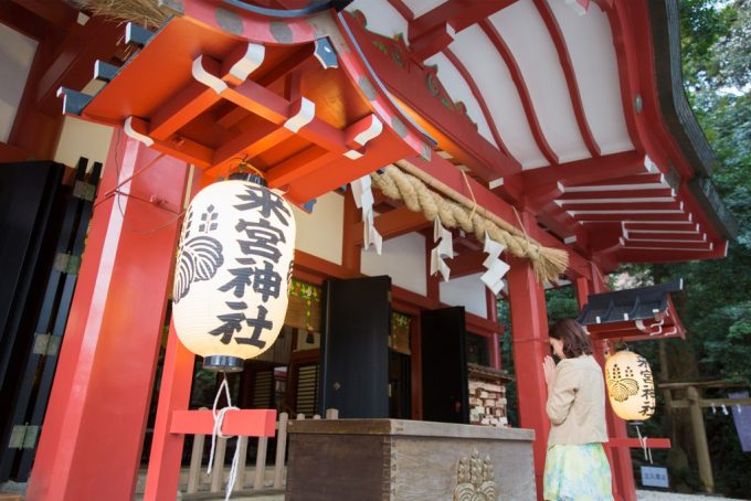 初詣に出かけたい参道グルメが美味しい静岡県の寺社８選