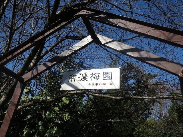 岐阜 インスタ映え 南濃梅園