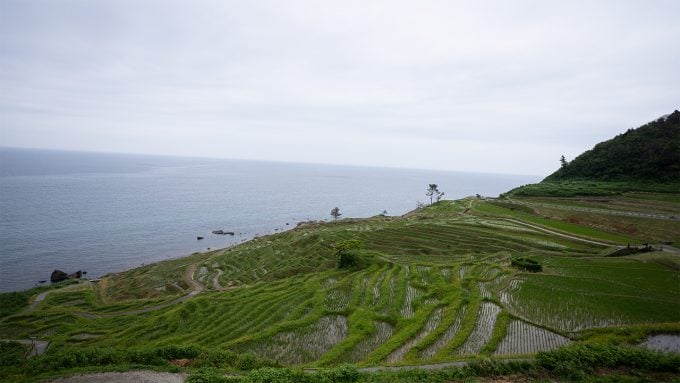 白米千枚田