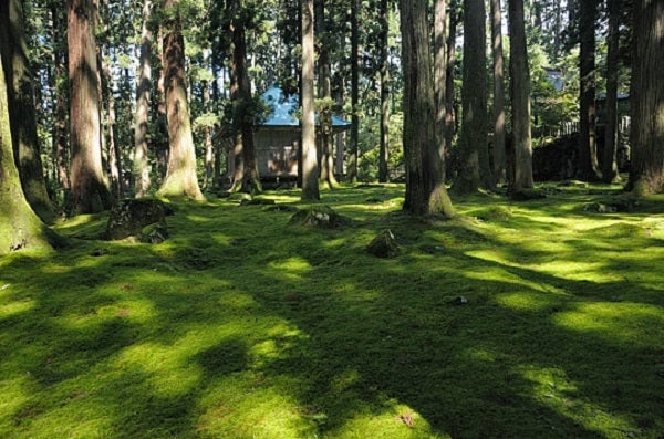 平泉寺白山神社