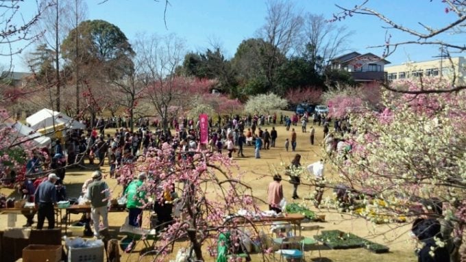 平芝公園