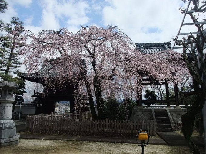 平芝公園