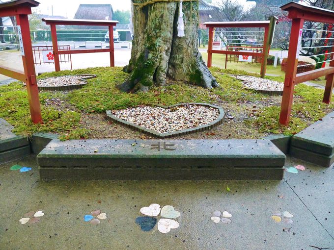 福岡 インスタ映え 恋木神社3