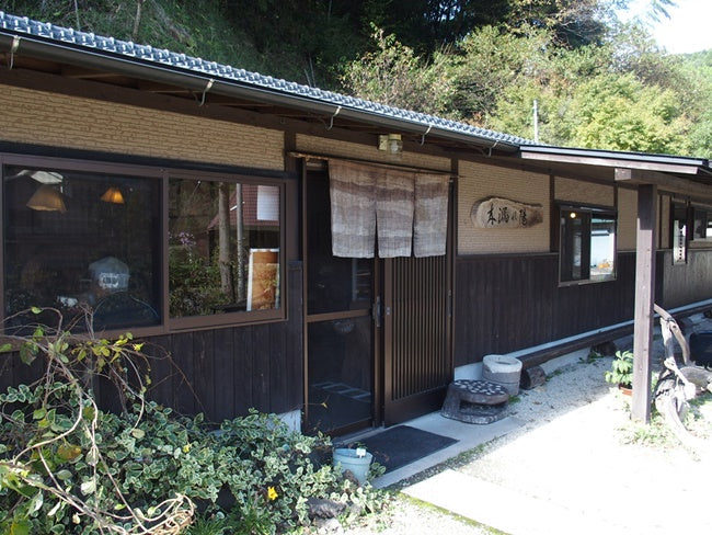 木漏れ陽