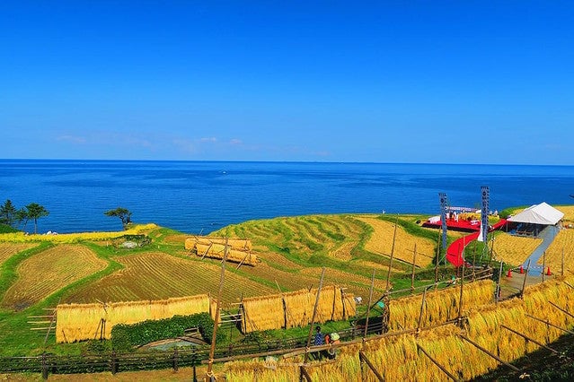白米千枚田