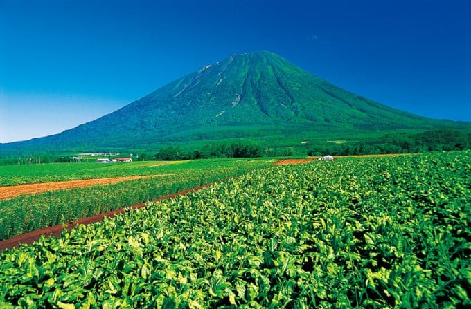 羊蹄山