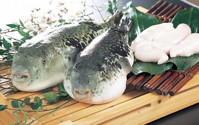 鐘崎ふく