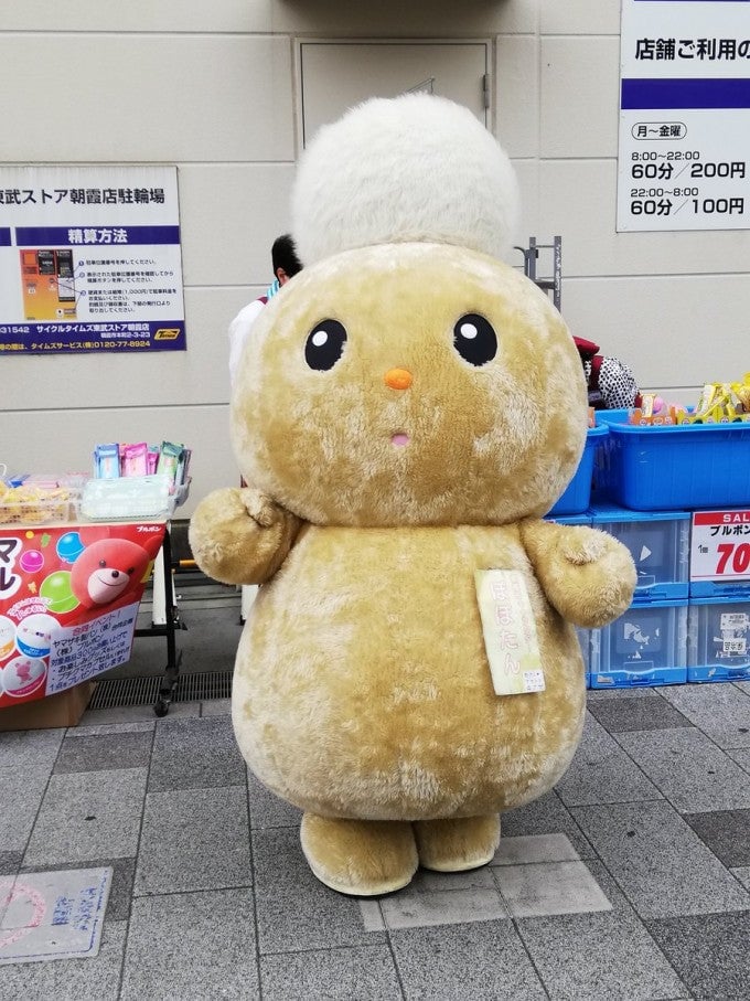 ぽぽたん