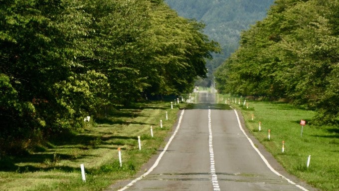 日高えりも町観光 二十間道路