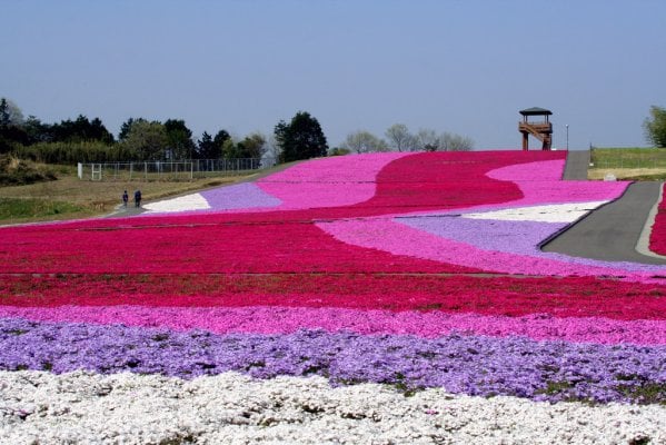 青森あるある