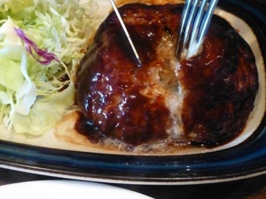 北海道 ハンバーグ 札幌 ハンバーグ カリー軒