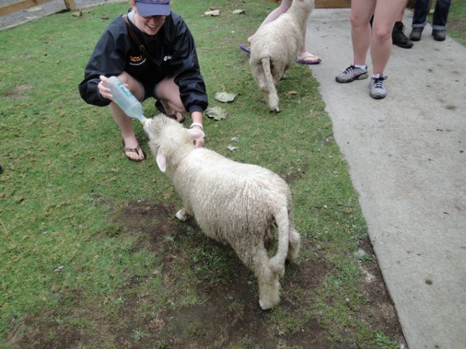EF BC