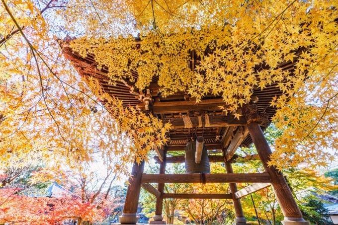 東漸寺 秋