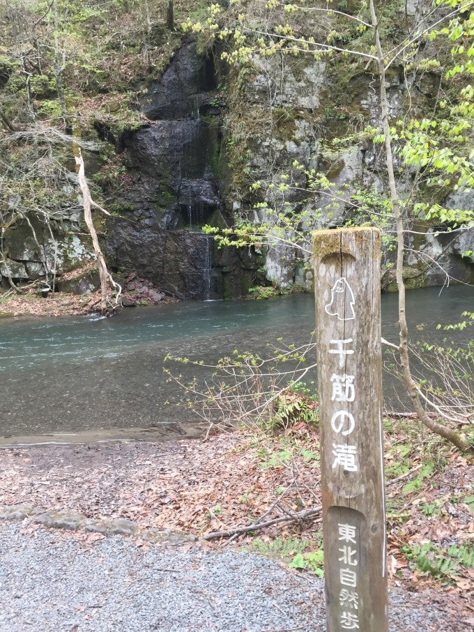 奥入瀬渓流 千筋の滝