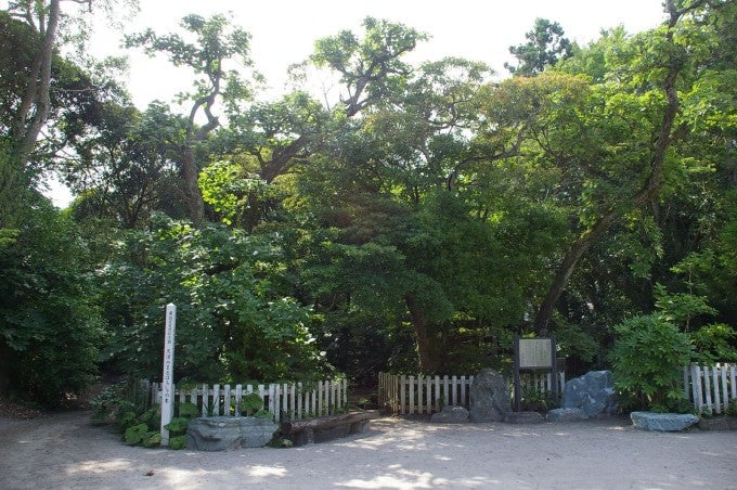 天津神明宮
