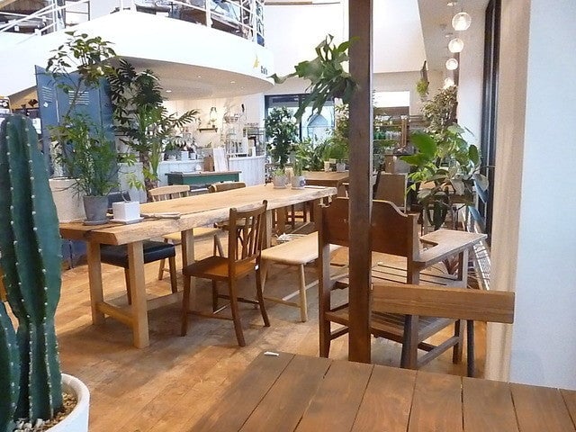 cafe2